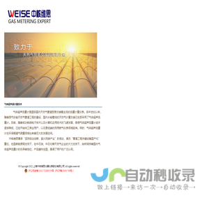 上海中核维思仪器仪表有限公司